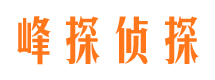 盐津市场调查